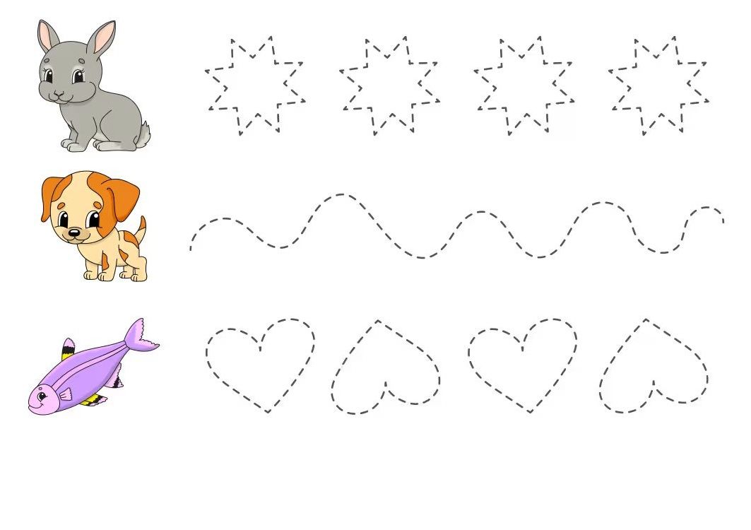 Çizgi Çalışmaları