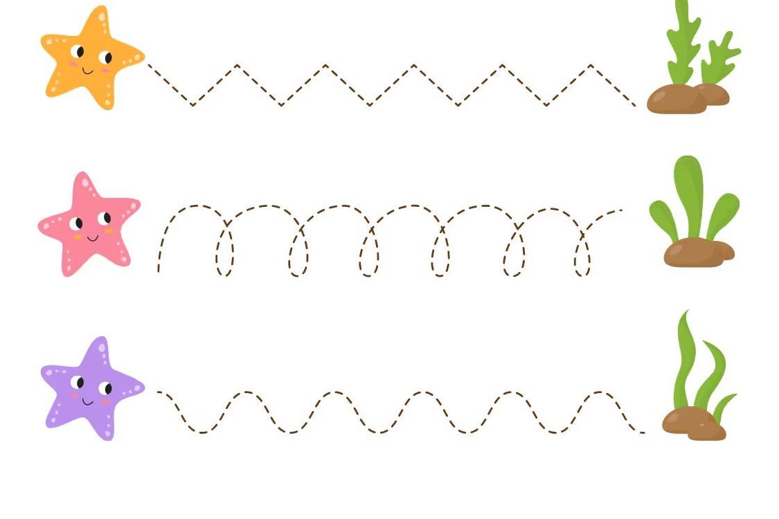 Çizgi Çalışmaları