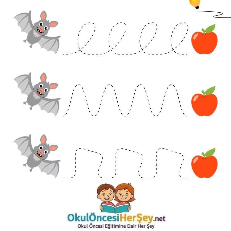 Çizgi Çalışmaları