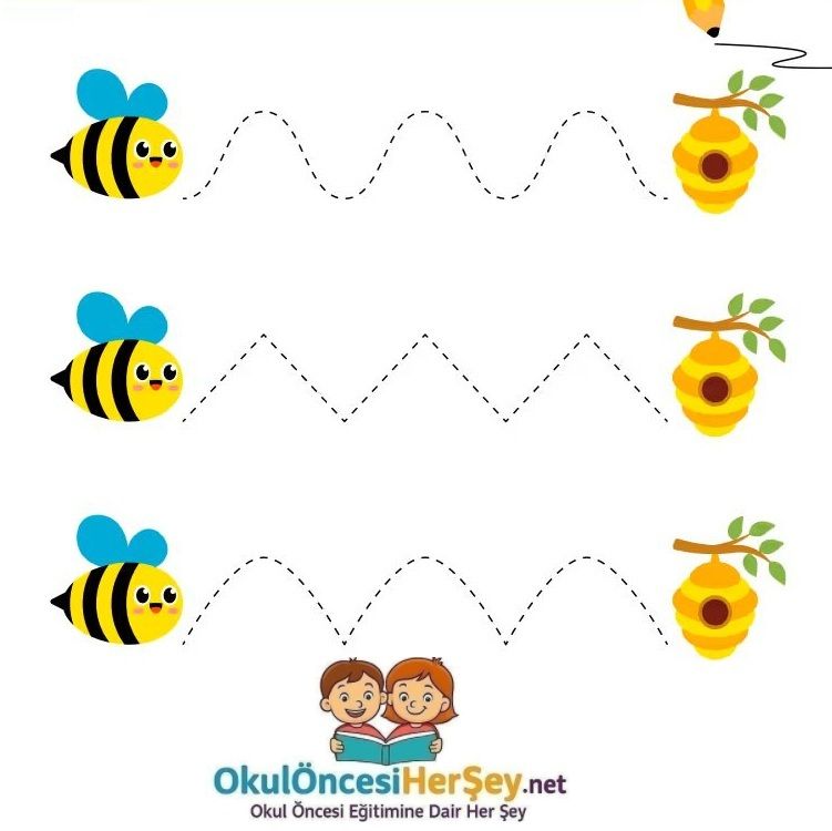 Çizgi Çalışmaları