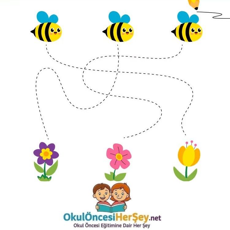 Çizgi Çalışmaları