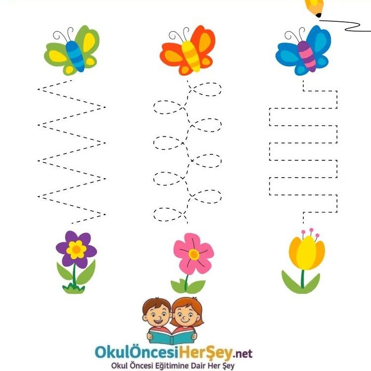 Çizgi Çalışmaları