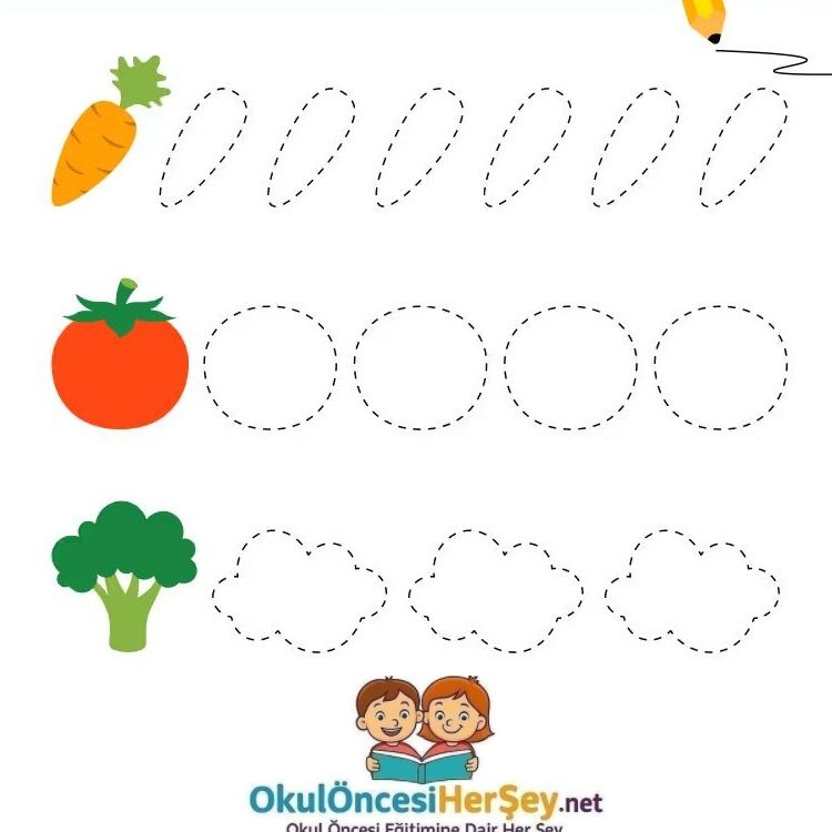 Çizgi Çalışmaları