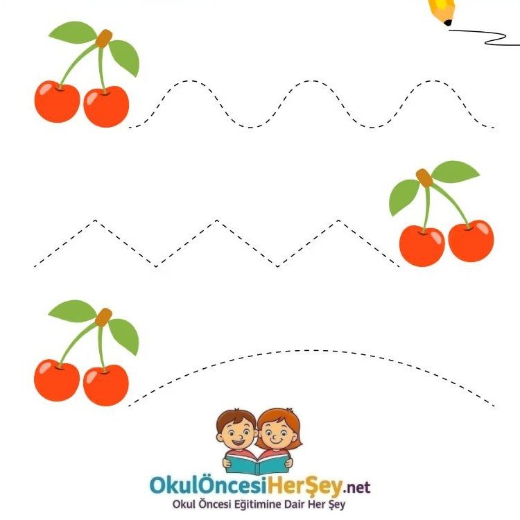 Çizgi Çalışmaları