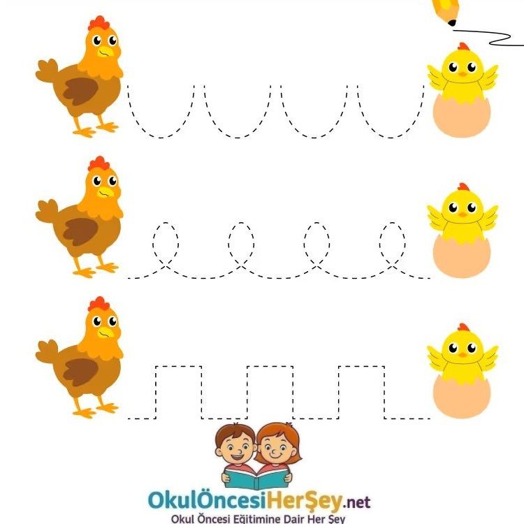 Çizgi Çalışmaları