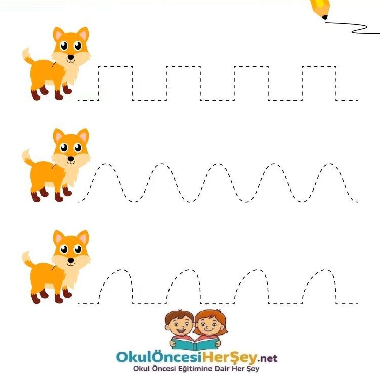 Çizgi Çalışmaları