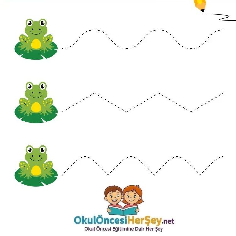 Çizgi Çalışmaları