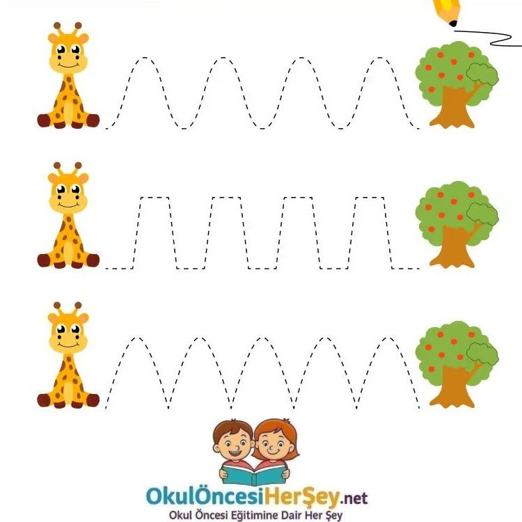 Çizgi Çalışmaları