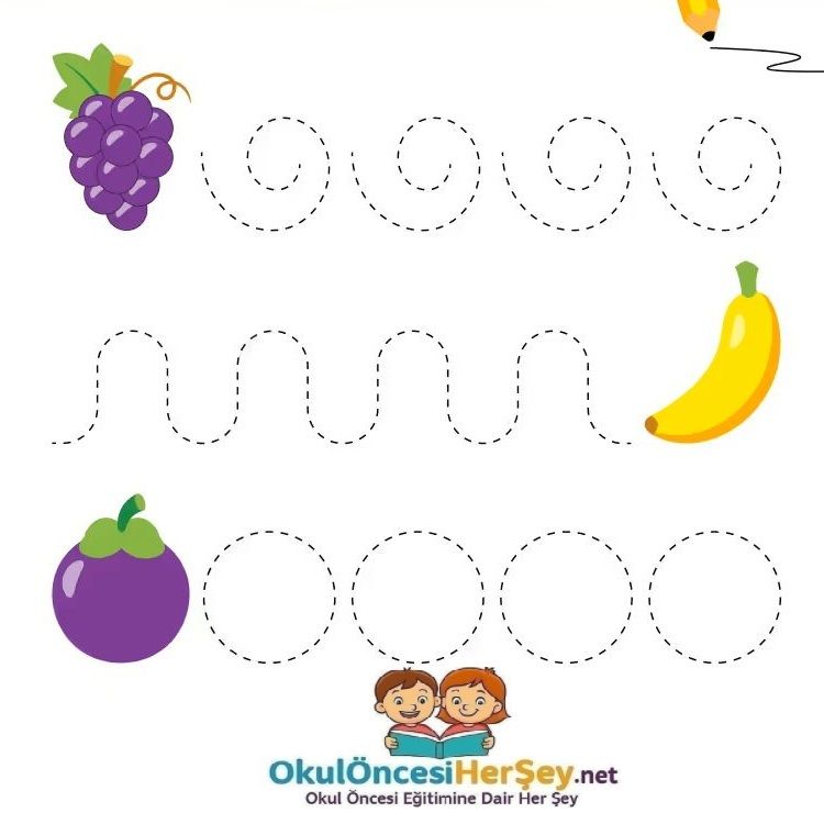 Çizgi Çalışmaları