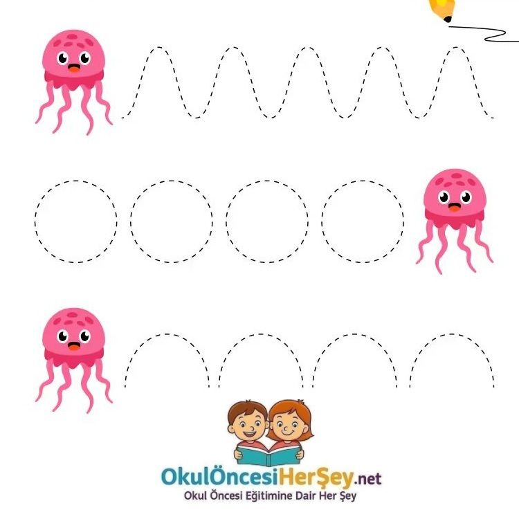 Çizgi Çalışmaları