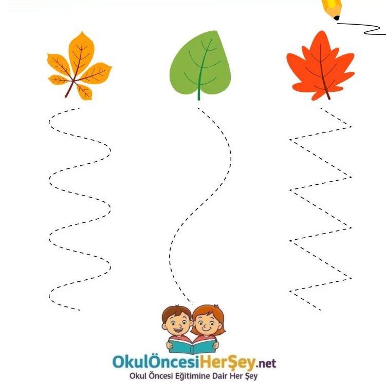 Çizgi Çalışmaları