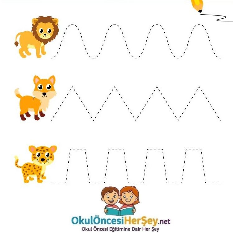 Çizgi Çalışmaları