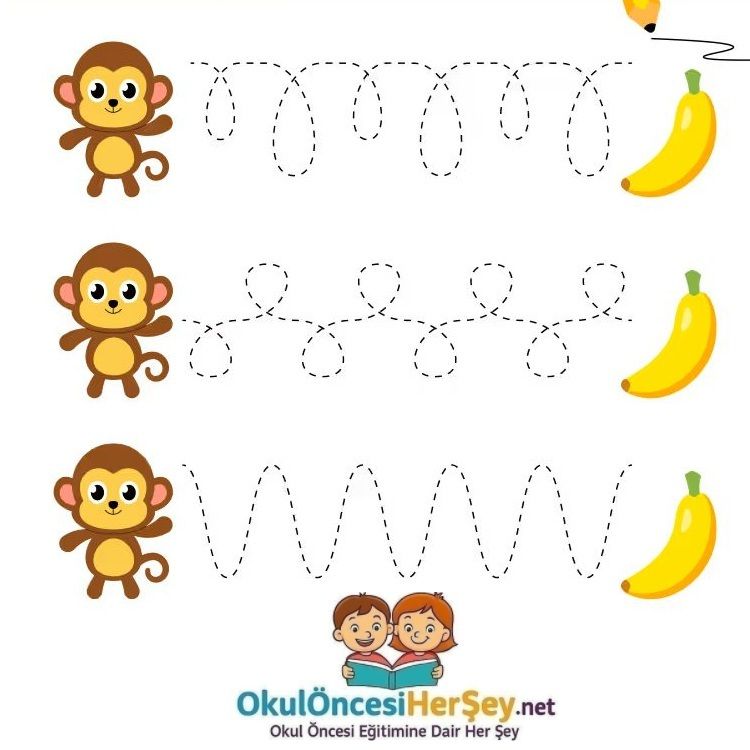 Çizgi Çalışmaları