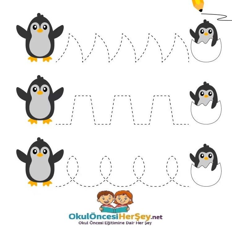 Çizgi Çalışmaları