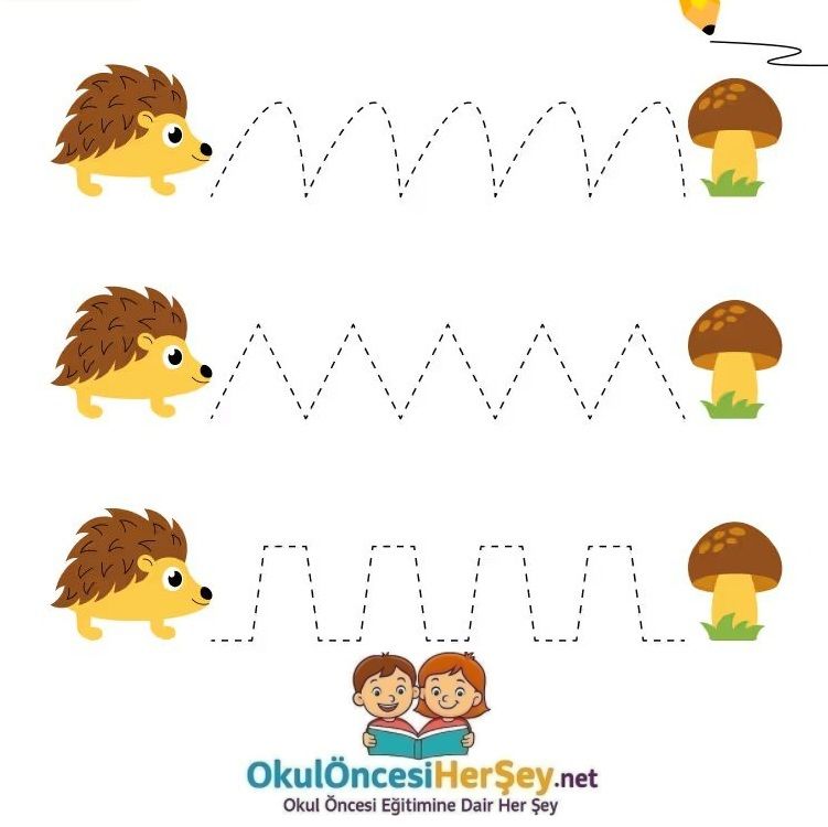 Çizgi Çalışmaları