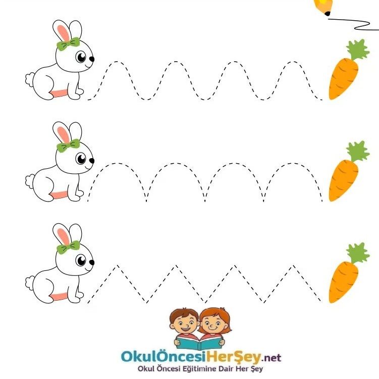 Çizgi Çalışmaları