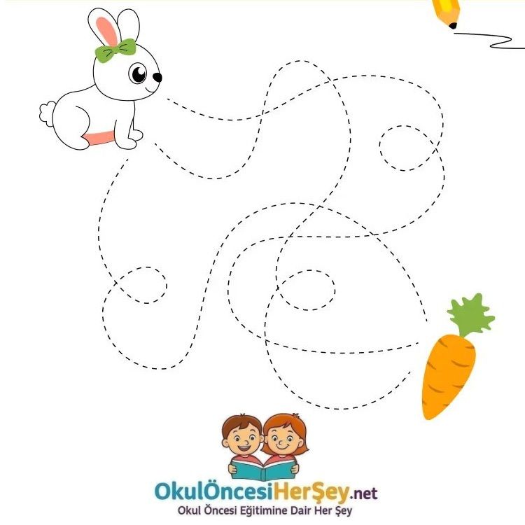 Çizgi Çalışmaları