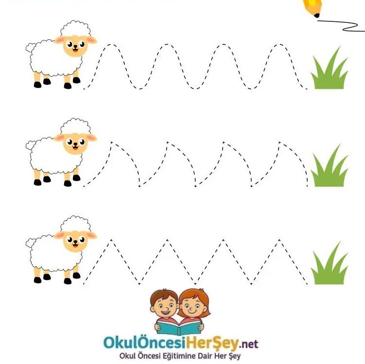 Çizgi Çalışmaları