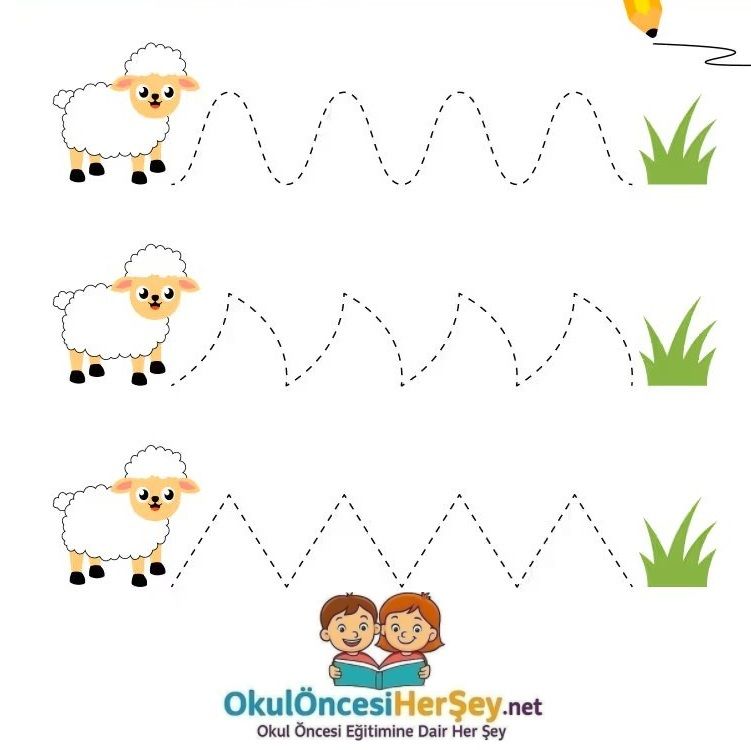 Çizgi Çalışmaları