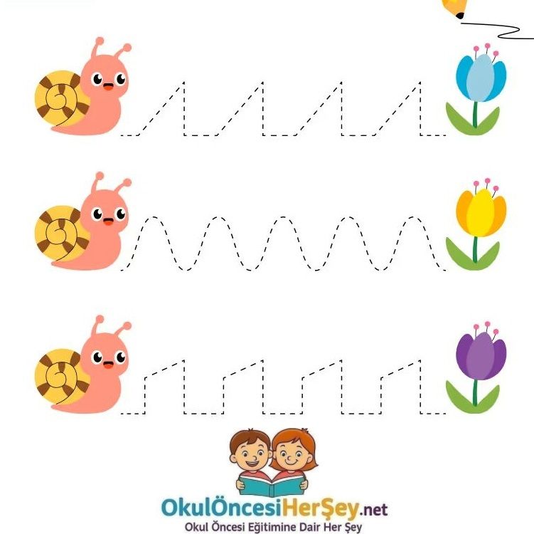 Çizgi Çalışmaları