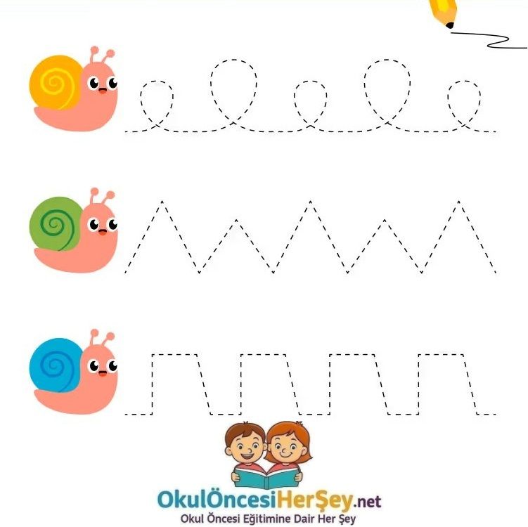 Çizgi Çalışmaları