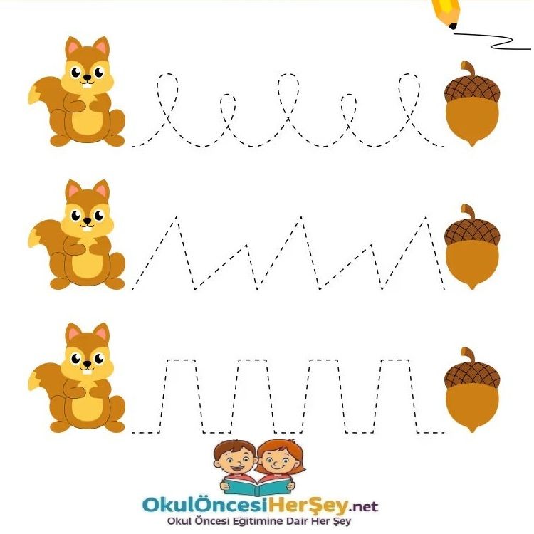 Çizgi Çalışmaları