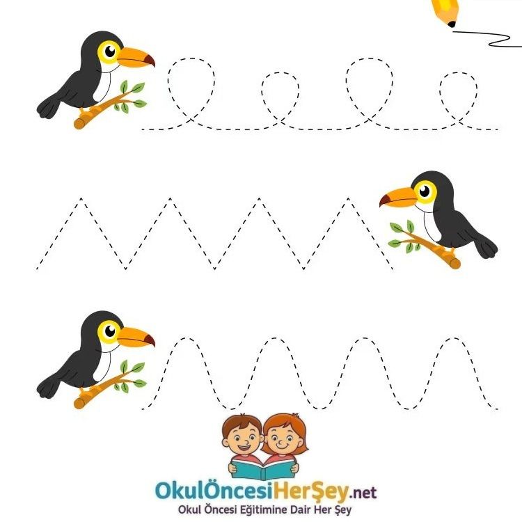 Çizgi Çalışmaları