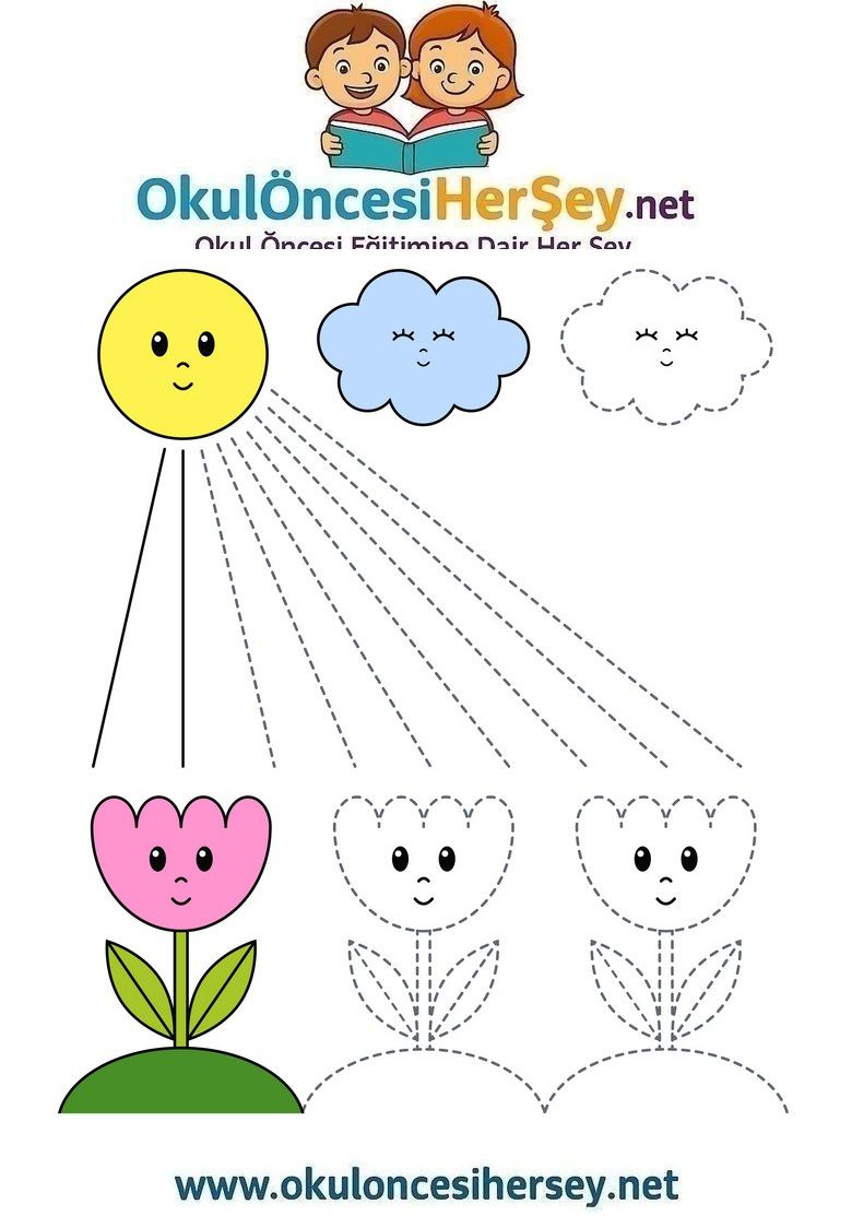 Çizgi Çalışmaları