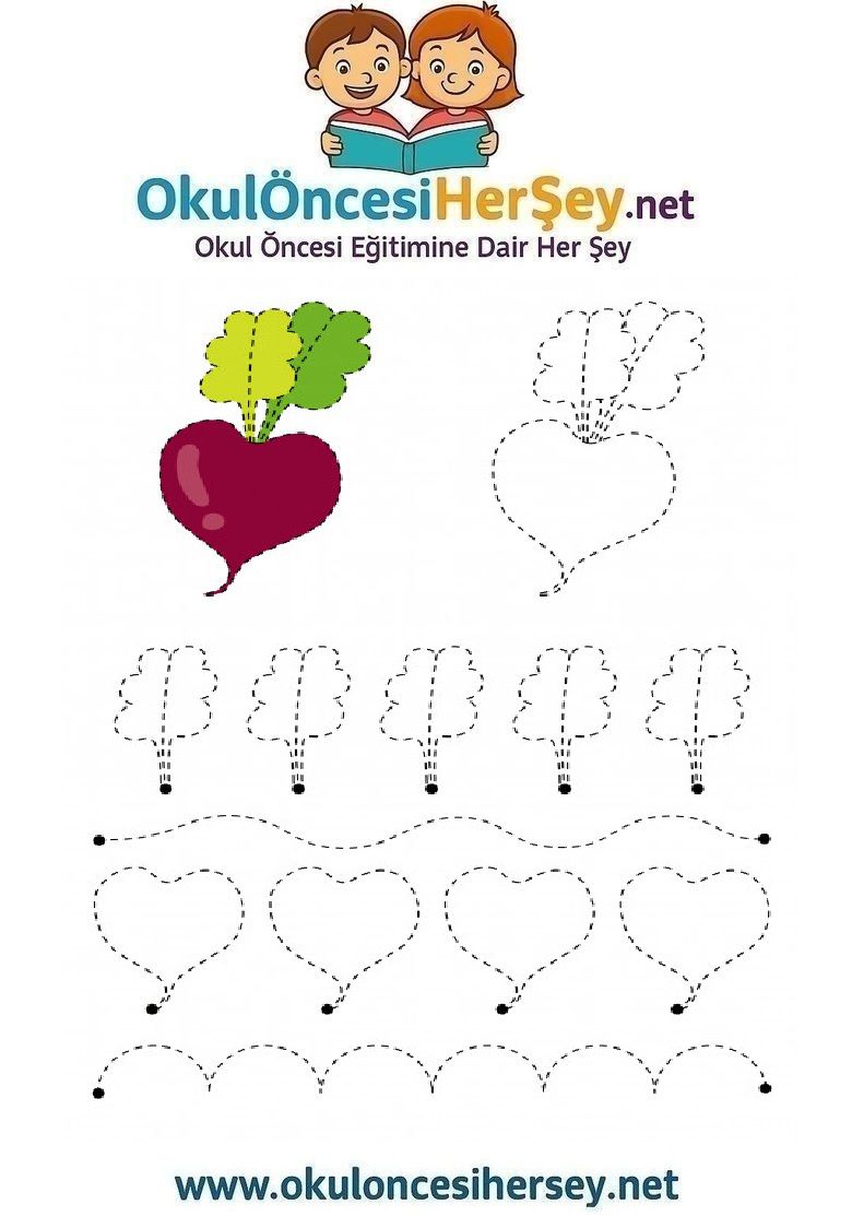 Çizgi Çalışmaları