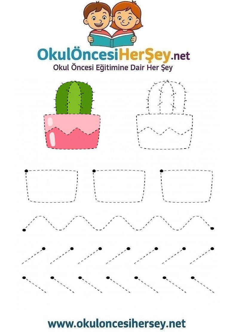 Çizgi Çalışmaları