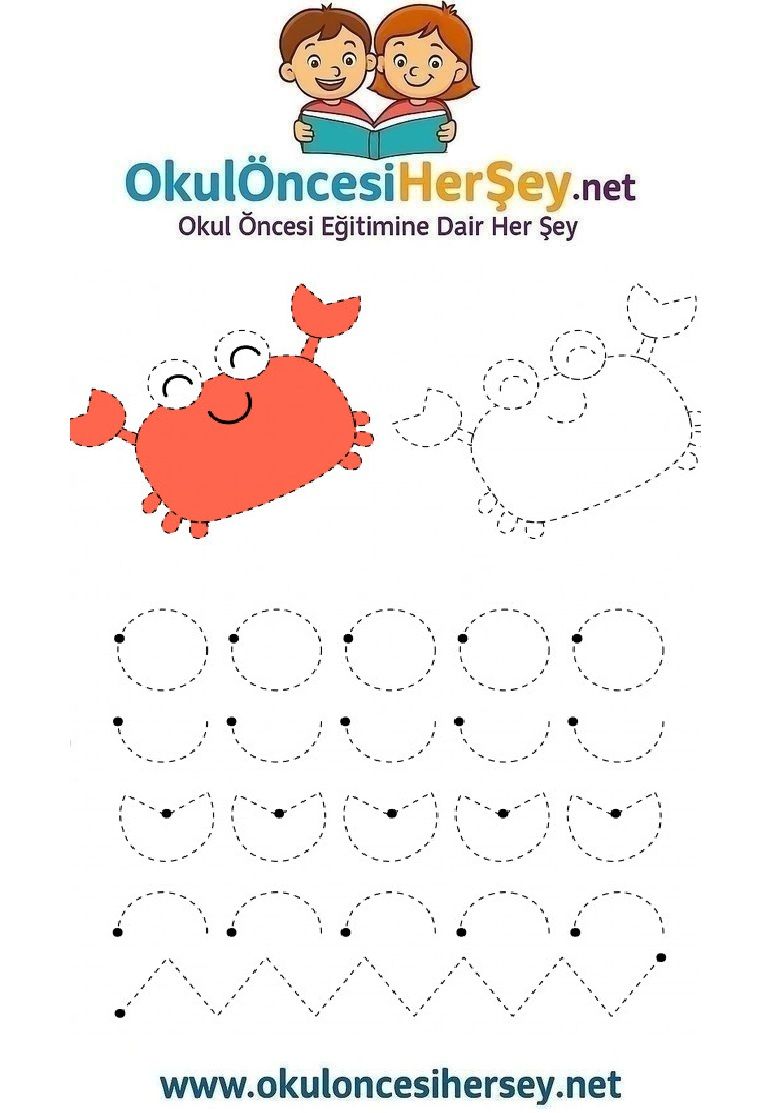 Çizgi Çalışmaları