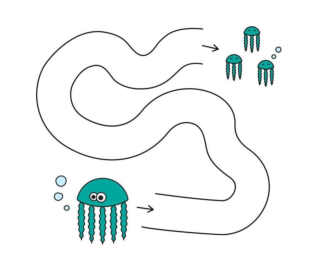 Çizgi Çalışmaları