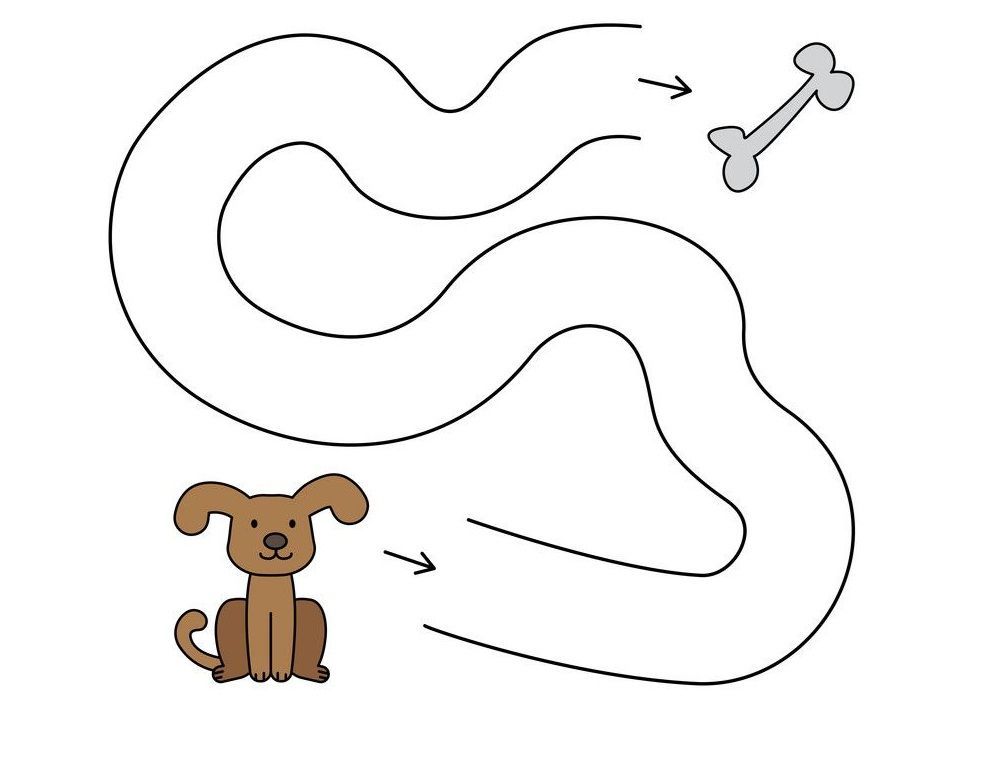 Çizgi Çalışmaları