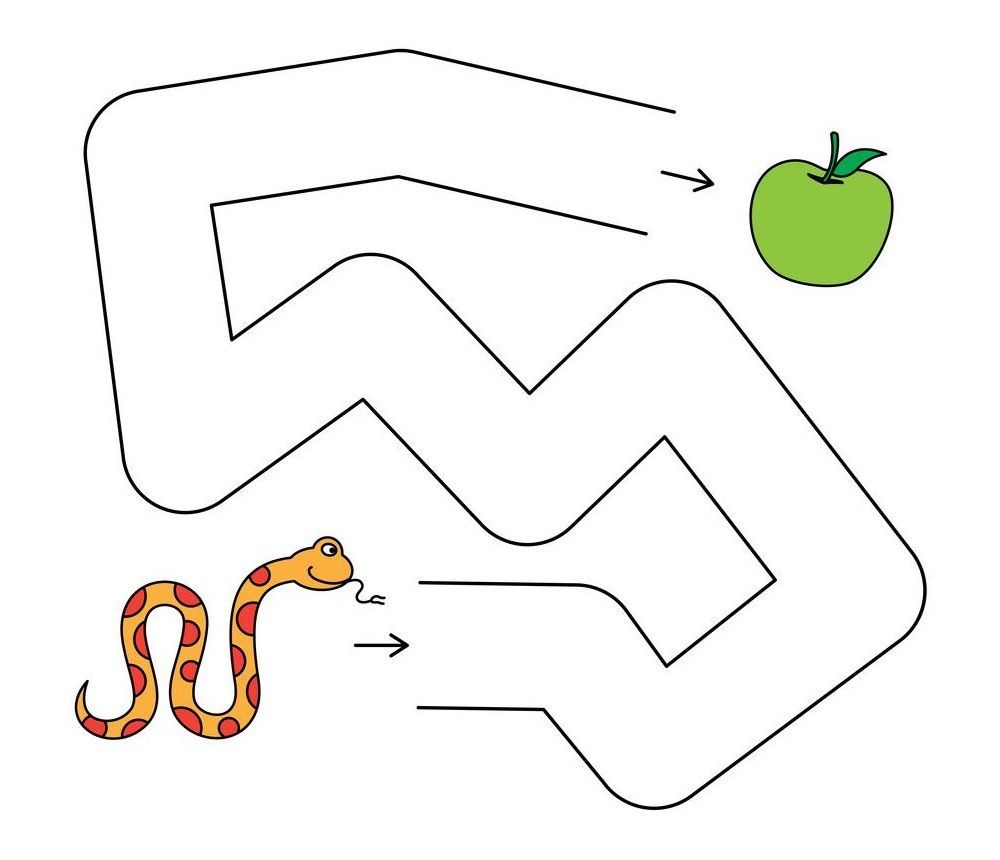 Çizgi Çalışmaları