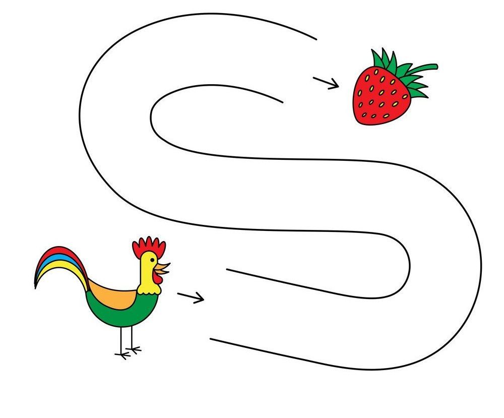 Çizgi Çalışmaları