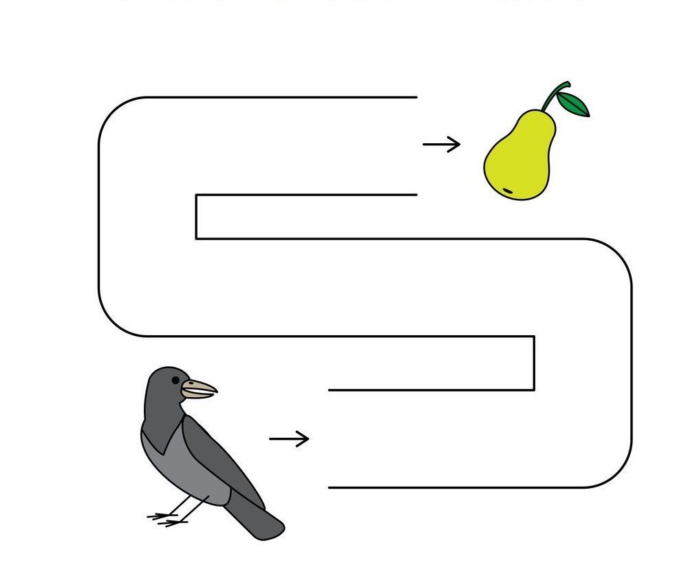 Çizgi Çalışmaları