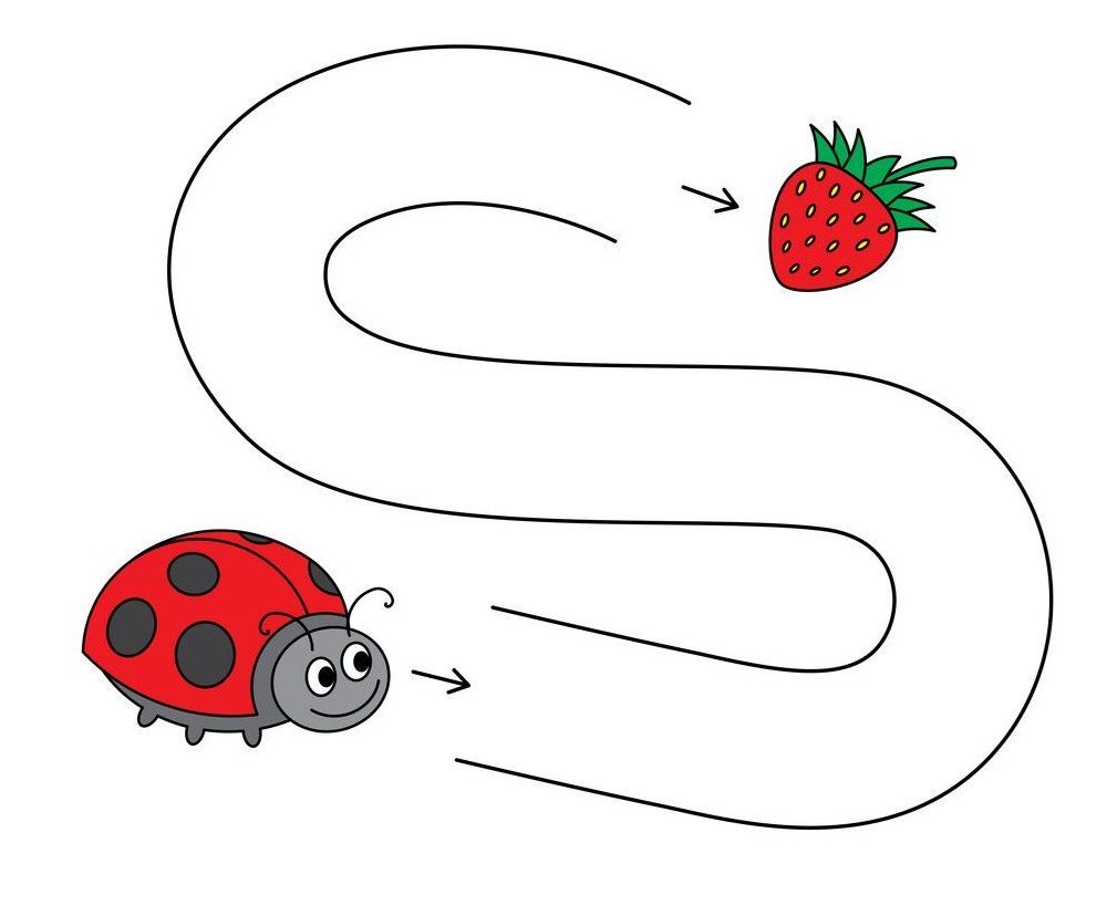 Çizgi Çalışmaları