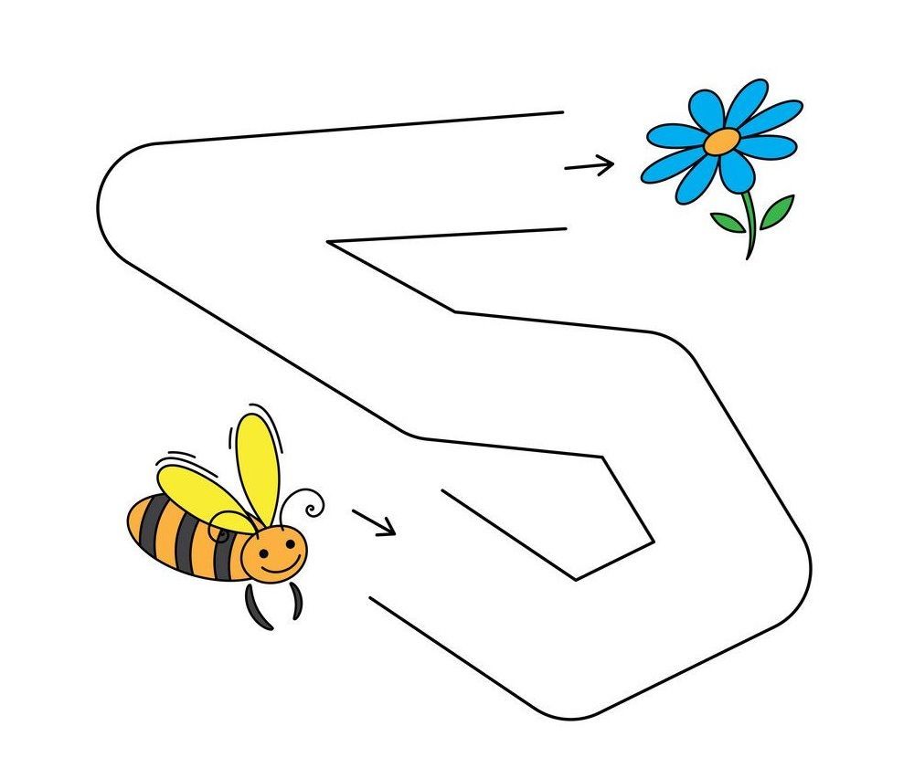 Çizgi Çalışmaları