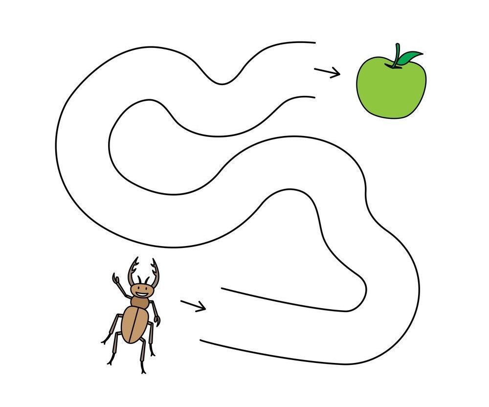 Çizgi Çalışmaları