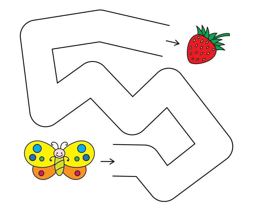 Çizgi Çalışmaları