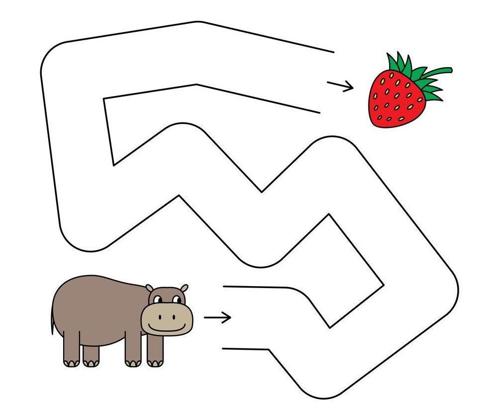 Çizgi Çalışmaları