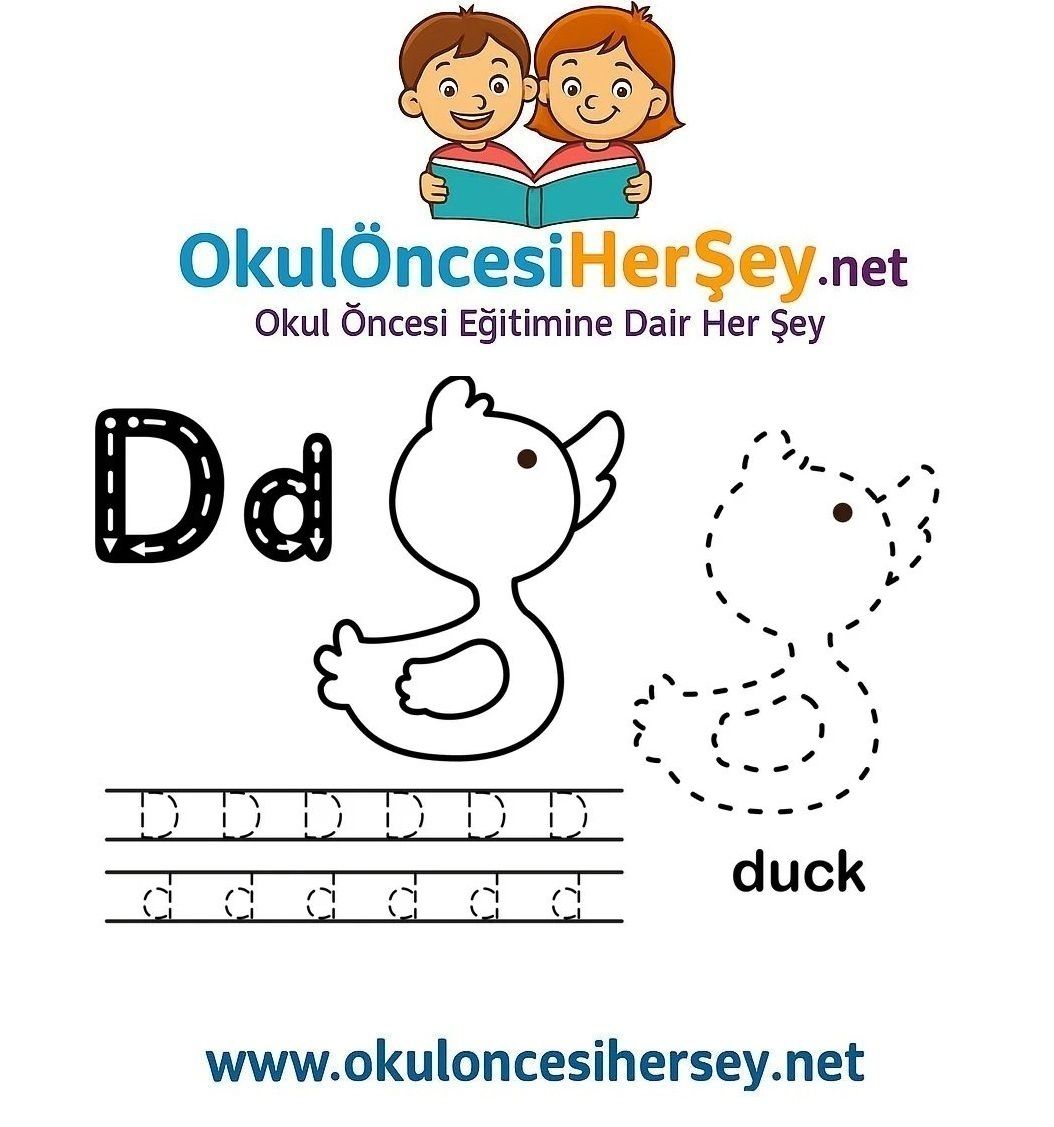 Çizgi Çalışmaları