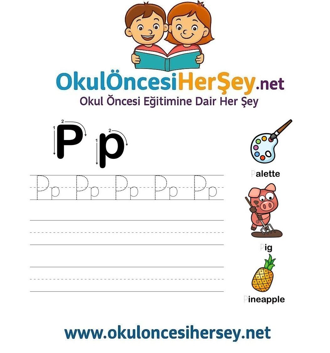 Çizgi Çalışmaları