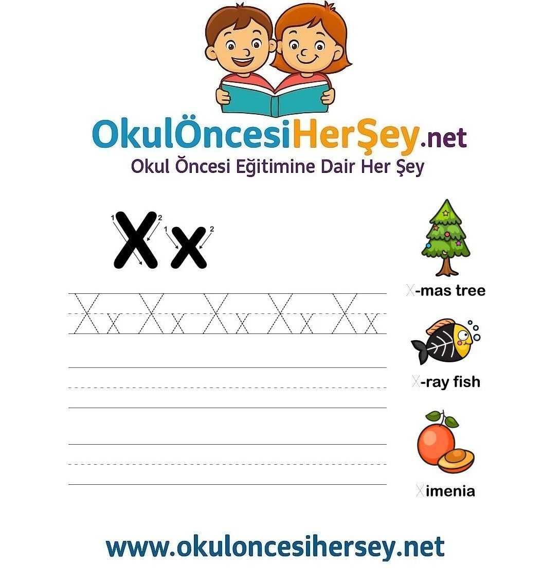 Çizgi Çalışmaları