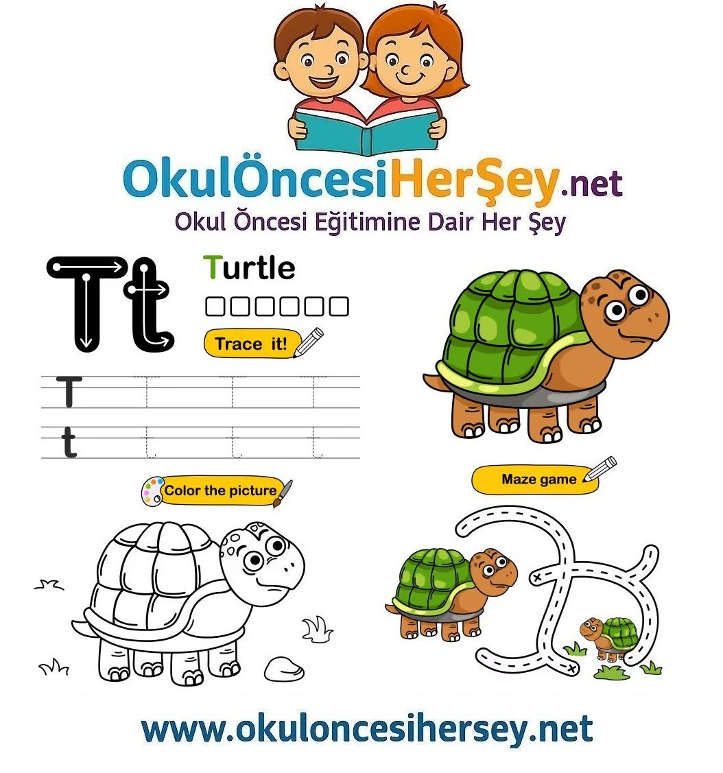 Çizgi Çalışmaları