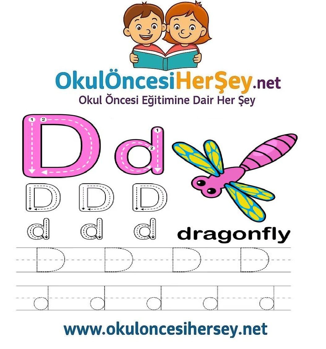 Çizgi Çalışmaları