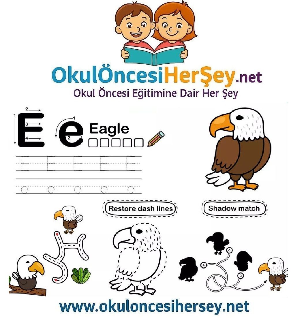 Çizgi Çalışmaları