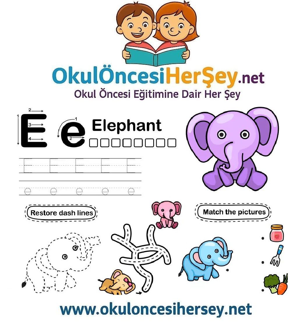 Çizgi Çalışmaları