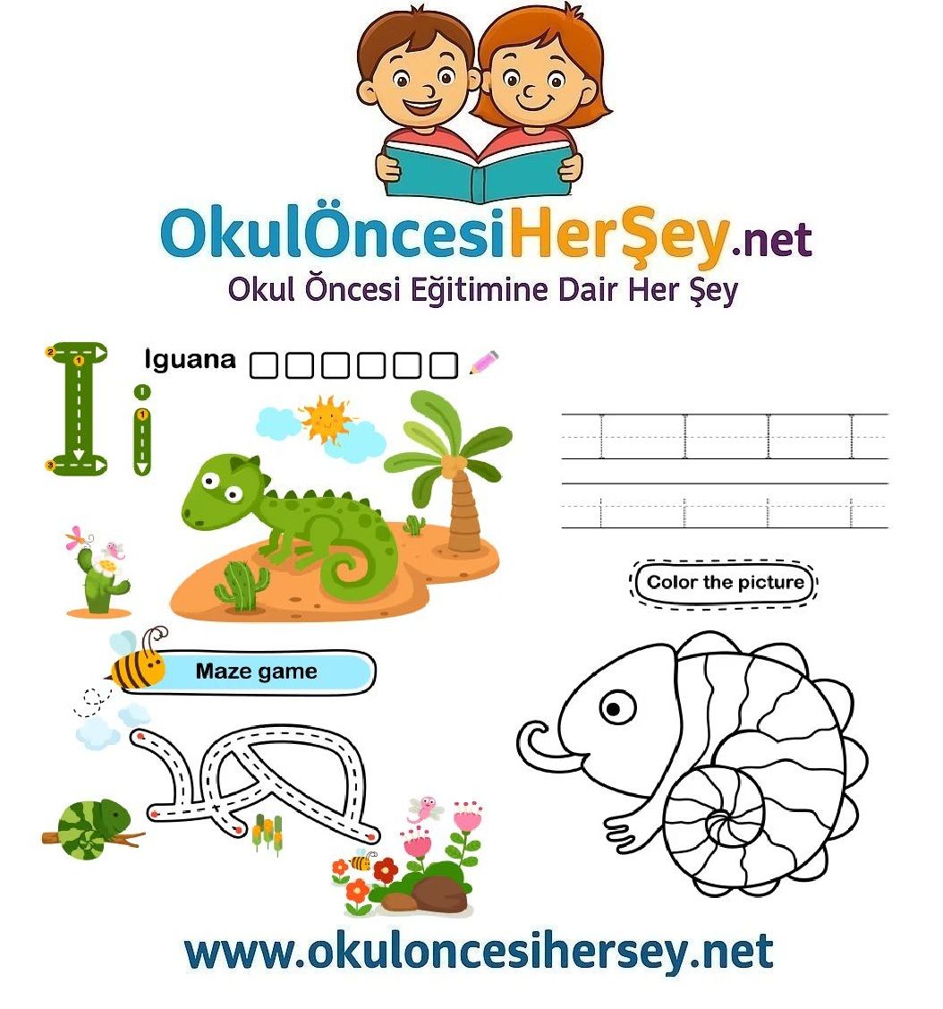 Çizgi Çalışmaları