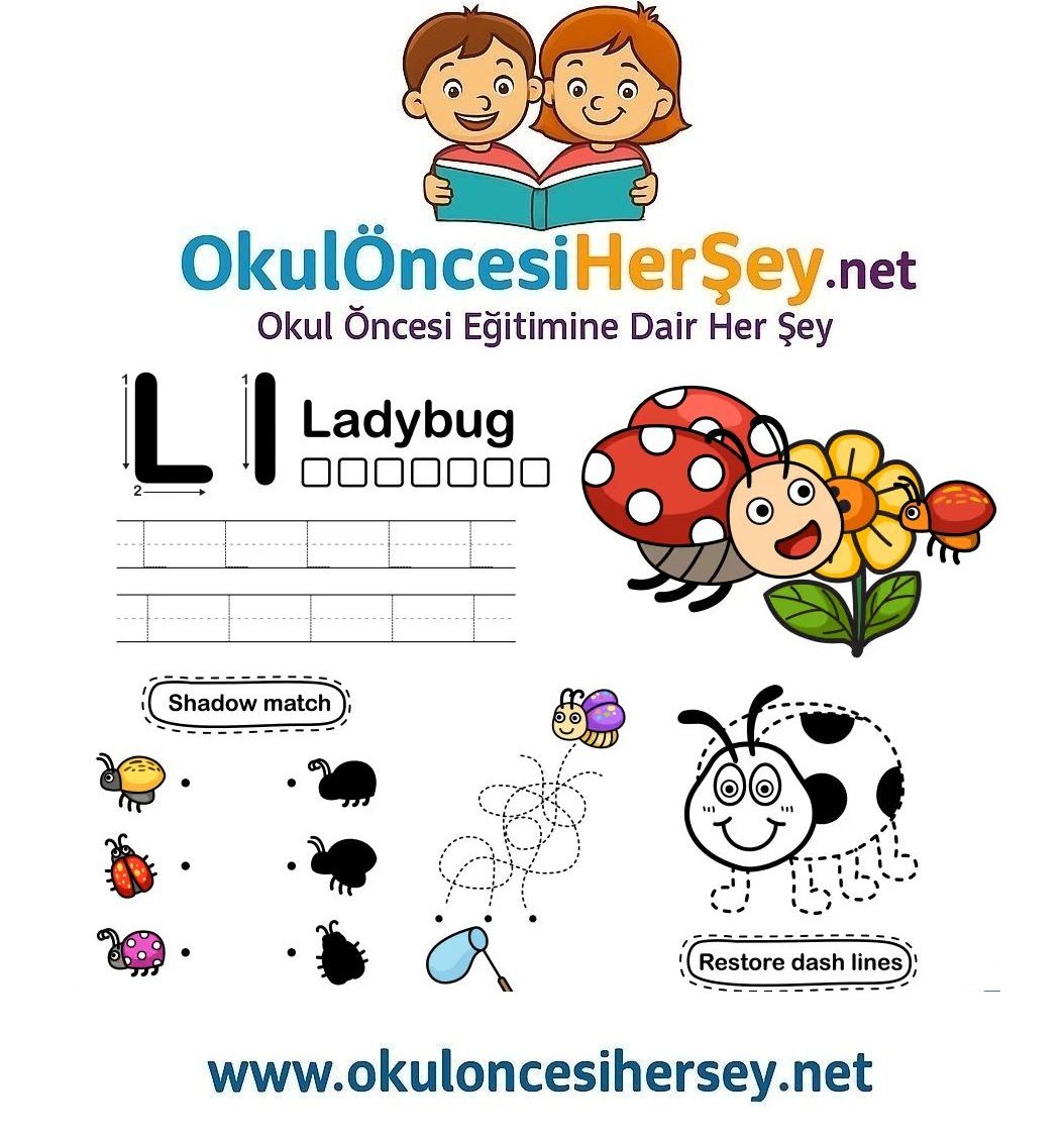 Çizgi Çalışmaları